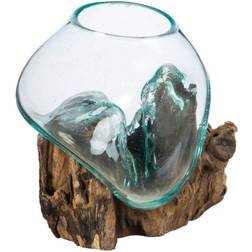 Evergreen Cape Craftsmen Hand-Blown Tinted Bubble Driftwood Terrarium