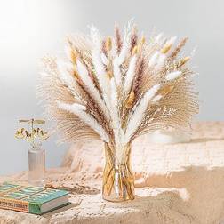 NTLPAMPA Natural Pampas Grass Decorative Item 93