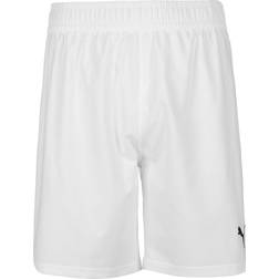 Puma teamFINAL Shorts Herren