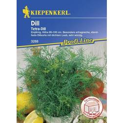 Kiepenkerl Dill Tetra ca. 200