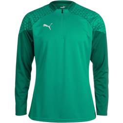 Puma Men's Team Cup Training 1/4 Zip Top - Pepper Green