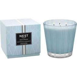 NEST New York Driftwood & Chamomile Scented Candle 1.5oz