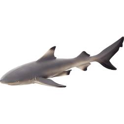 Mojo Blacktip Reef Shark