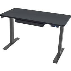 SDG48B Writing Desk 24x48"