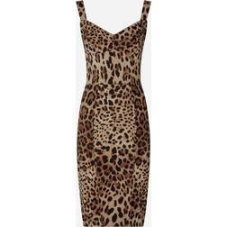 Dolce & Gabbana Leopard-print cady corset-style midi dress leo_new