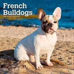 2024 BrownTrout French Bulldogs Monthly Wall Calendar 9781975462758