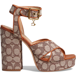 Coach Nelly - Cocoa/Burnished Amber