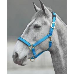 Shires Topaz Leather Breakaway Nylon Headcollar