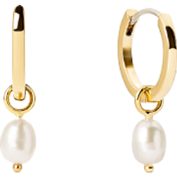 Ana Luisa Frida Huggie Hoops Earrings - Gold/Pearl