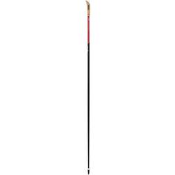 Swix Roadline pole