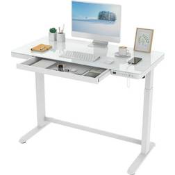 Flexispot Ergonomic Home Office Writing Desk 24x48"