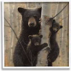 Stupell Black Bear and Cubs Soft Birch Tree Forest Framed Art