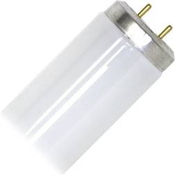 GE 80044 f20t12/c50/eco straight t12 fluorescent tube light bulb