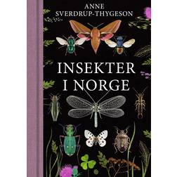 Insekter Norge Kagge Insekter