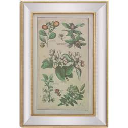 Litton Lane Large Vintage Style Plant Illustrations Textile Wall Decor 19.5x28.5"