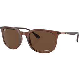 Ray-Ban Polarized RB4386 6652AN