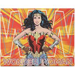 Open Road Brands DC Comics Wonder Woman Gallery Wrapped Wall Decor