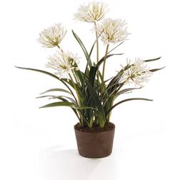 Porch & Petal Floral White 29'' White Agapanthus Drop-In Plant