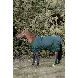 Kentucky Horsewear All Weather Turnout 160g Dunkelgrün