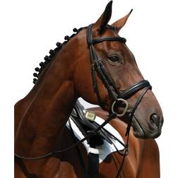 Collegiate Syntovia Flash Bridle Warmblood Black