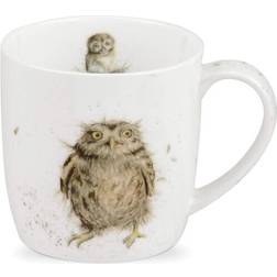 Royal Worcester Wrendale Hannah Dale Mugs Owl Cup