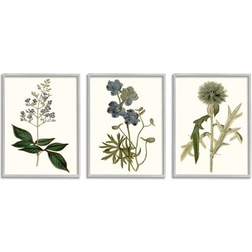 Stupell Industries Vintage Blue Botanical Flowers on Beige Curtis 3 Framed Art