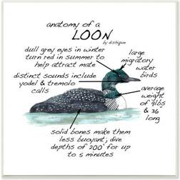 Stupell Industries Loon Water Bird Anatomy Educational Wildlife Facts Graphic Framed Art 12x12"