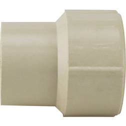 Apollo 3/4 in. 3/4 in. CPVC CTS x FNPT Solvent Weld Adapter, White