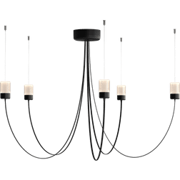 Moooi Gravity 5 Pendant Lamp 50"