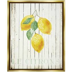 Stupell Industries Le Citrons Lemon Fruits Rustic Grey Framed Art 25x31"