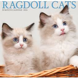 Willow Creek Press Ragdoll Cats 2024 Wall Calendar