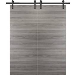 Sarto Sturdy Double Barn Interior Door Clear Glass (x)