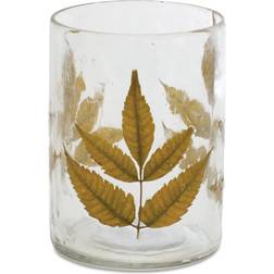 Melrose Set of Clear Dried White Ash Leaf 4.25" 3pcs