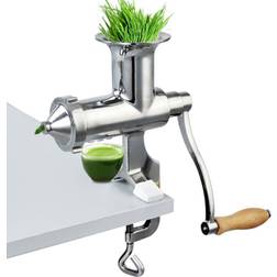 VEVOR Slow Cold Press Juicer, SDZZFLJ0000000001V0