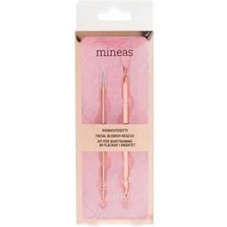 Mineas Facial Blemish Rescue