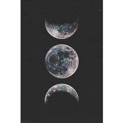 Ikea Bild Image Moon Black Poster 61x91cm