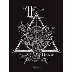 Harry Potter Deathly Hallows Multicolor Poster