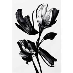 Pelcasa Black Flower Poster 21x30cm
