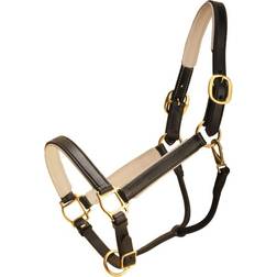 Padded Halter With Brass Hardware - Black/White