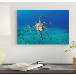 East Urban Home Day Octopus Hawaii Multicolor Framed Art 26x18"