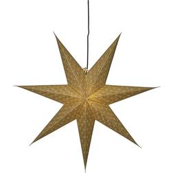 Star Trading Brodie Gold Weihnachtsstern 60cm