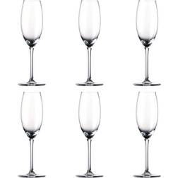 Rosenthal Thomas Divino Champagneglass 19cl 6st