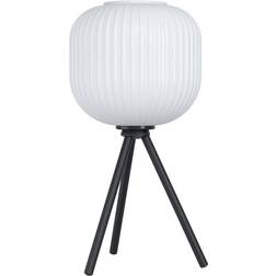 Eglo Mantunalle White/Black Bordlampe 40cm