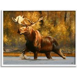 Stupell Moose Stepping River Foliage White Framed Art 20x16"