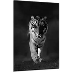 Bloomsbury Glasbild Tiger Bild 70x100cm