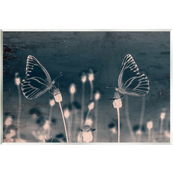 Stupell Butterflies Meadow Grey Framed Art 19x15"