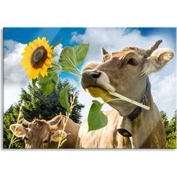 Close-Up Cow With Sunflower In Its Mouth Multicolor Bild 60x40cm