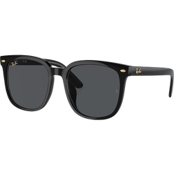 Ray-Ban Year Of The Dragon Edition RB4401D 675787