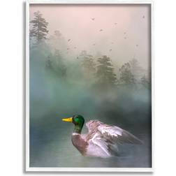 Stupell Industries Mallard Duck Swimming Woodland Lake White Framed Art 16x20"