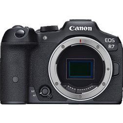 Canon EOS R7 + RF 24-105mm F/4 l is USM + 420-800mm f/8.3